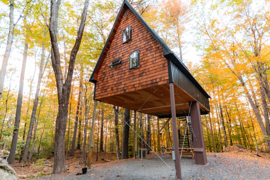 Découvrez le charme des cabanes dans les arbres, un véritable paradis suspendu !